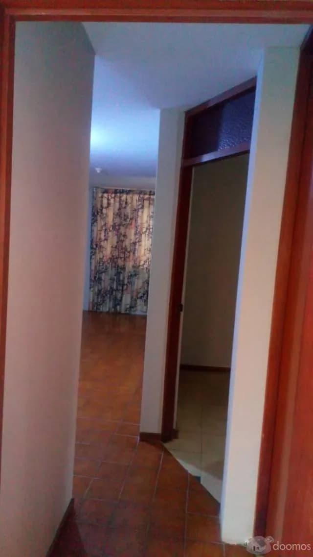 ALQUILO DEPARTAMENTO EN PRO LOS OLIVOS — foto 4