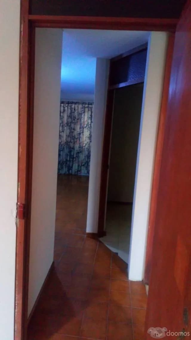 ALQUILO DEPARTAMENTO EN PRO LOS OLIVOS — foto 5