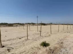 VENTA DE TERRENOS EN PIURA