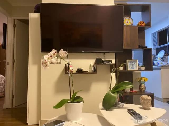 Lindo Dpto Funcional - Límite con San Isidro — foto 1