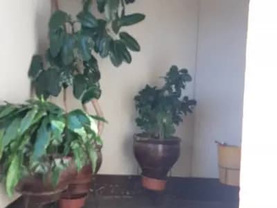 OCASION SE VENDE DEPARTAMENTO EN HUANUCO O SE CAMBIA POR TERRENO