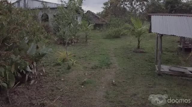 Venta de  propiedad de 8 Has Título , panales de abejas  $ 200,000 — foto 2