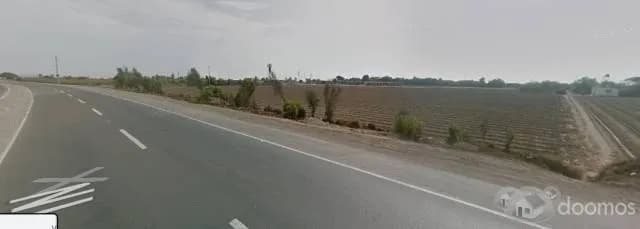 0800590600 — foto 1