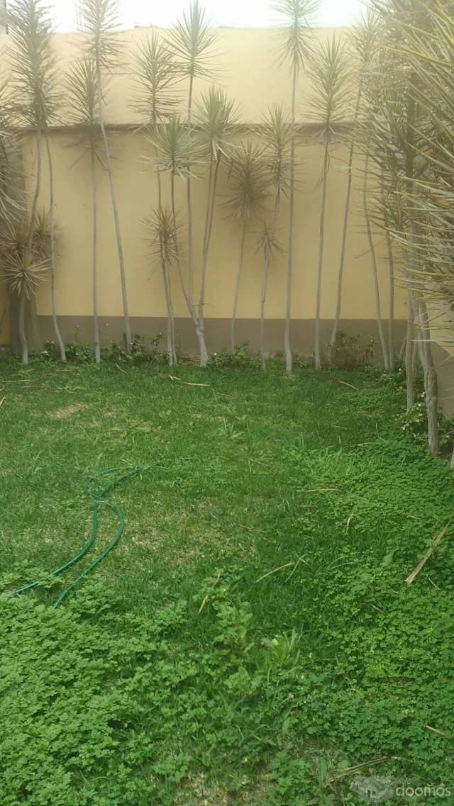 VENTA DE CASA EN 1ER PISO DISTRITO DE LINCE, LIMITE CON SAN ISIDRO — foto 8