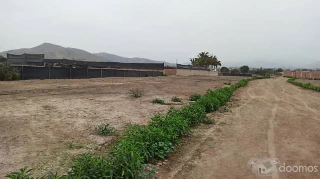 VENDO TERRENO — foto 3