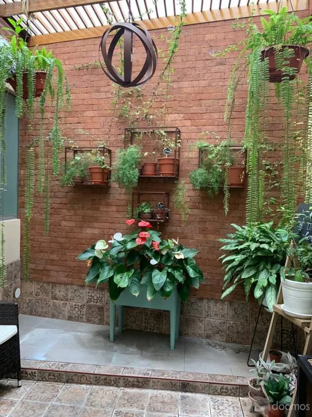 VENDO LINDO DUPLEX SURCO — foto 7