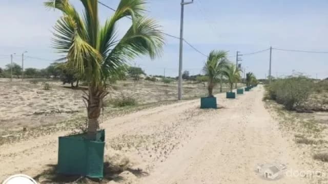 VENTA DE TERRENO EN PIURA - VILLA LA PALMA — foto 3