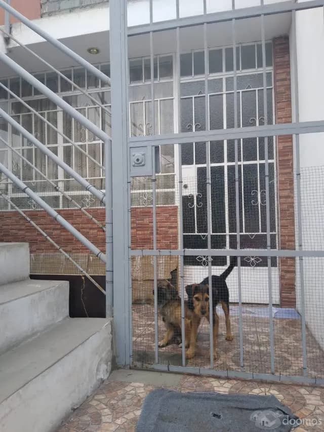 VENTA DE DEPARTAMENTO EN LA MEJOR ZONA DE SAN MARTIN — foto 2