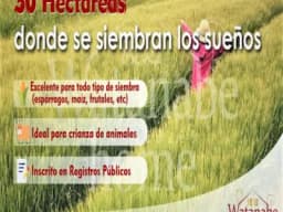 VENDO TERRENO. AREA - 30 HECTAREAS * CAÑETE - LIMA