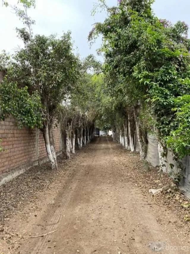 Terreno 20,510 m², Lurín — foto 2