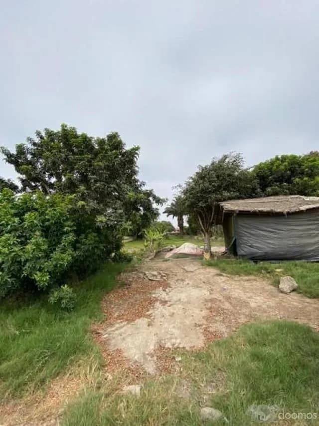 Terreno 20,510 m², Lurín — foto 3