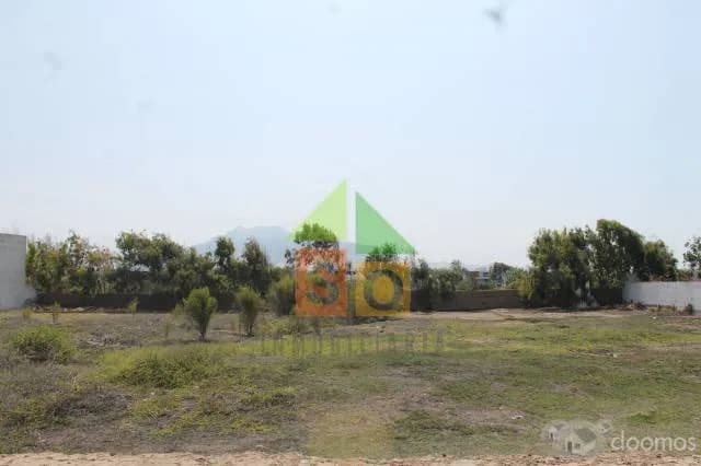 Terreno en El Palmar — foto 3