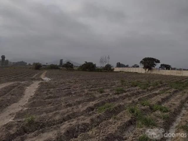 Se vende terreno de 500 metros en Chancay. — foto 1