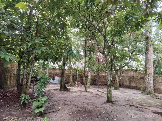 Alquilo  y/O. Vendo  960 m2  6 Dormitorios — foto 3