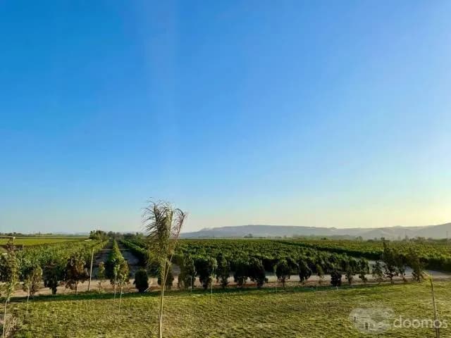 VENTA DE LOTES PARA CASA DE CAMPO EN CONDOMINIO CAMPESTRE — foto 1