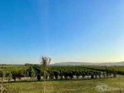 VENTA DE LOTES PARA CASA DE CAMPO EN CONDOMINIO CAMPESTRE