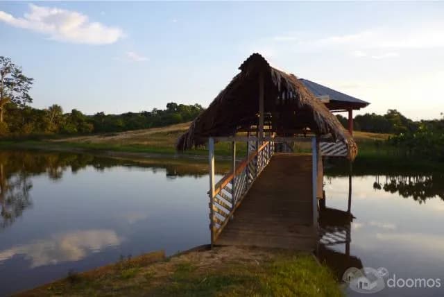Venta de Recreo Turístico en Provincia de Requena, dpto. Loreto, Perú. — foto 4