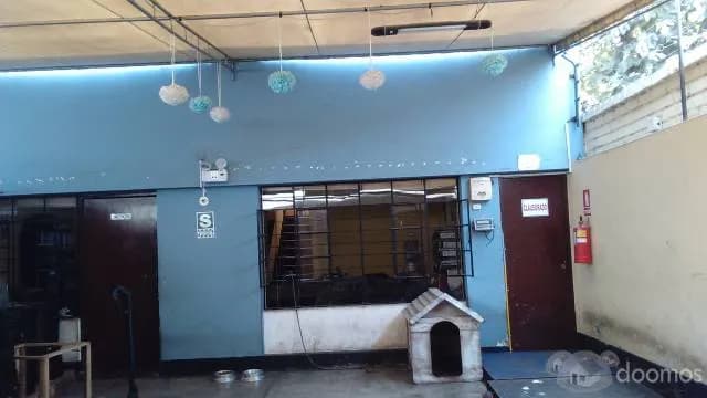REMATO CASA COMO TERRENO EN SALAMANCA — foto 6