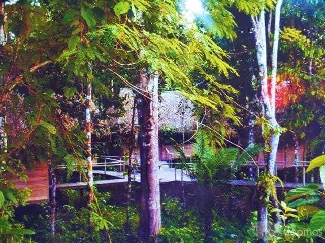 VENDO LODGE-ALBERGUE 164 HECTAREAS — foto 5