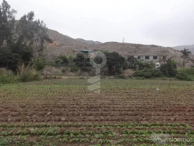 Terreno Agrícola-Pachacamac — foto 1