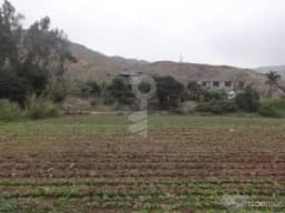 Terreno Agrícola-Pachacamac