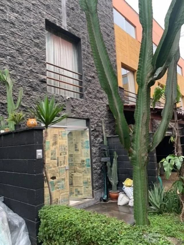 LOCAL COMERCIAL EN ALQUILER - ID 214006 — foto 8