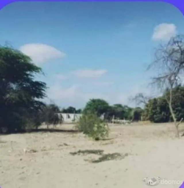 Venta de Terreno en Los Ejidos-Piura — foto 2
