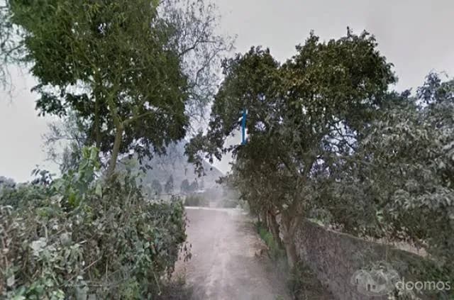 VENTA TERRENO PACHACAMAC, TOMINA, 14 000m2 aprox. — foto 2