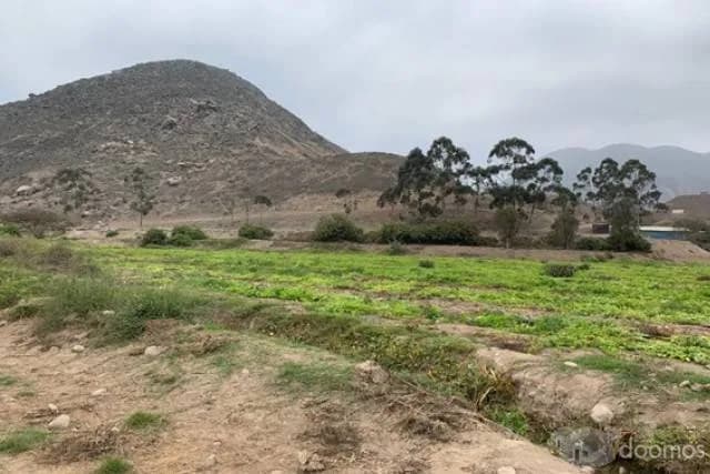 VENTA TERRENO PACHACAMAC, TOMINA, 14 000m2 aprox. — foto 4