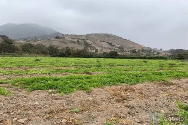 VENTA TERRENO PACHACAMAC, TOMINA, 14 000m2 aprox. — foto 7
