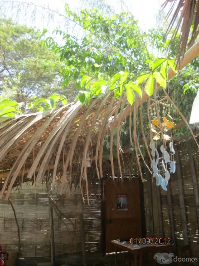 Roommate , compartir casa — foto 4