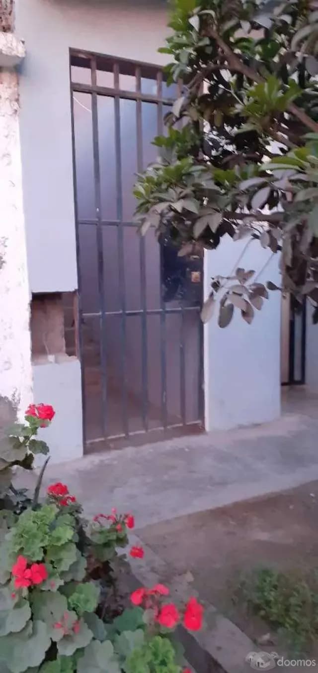 VENTA CASA 2,3 Y 4 PISO SAN MARTIN DE PORRES — foto 5