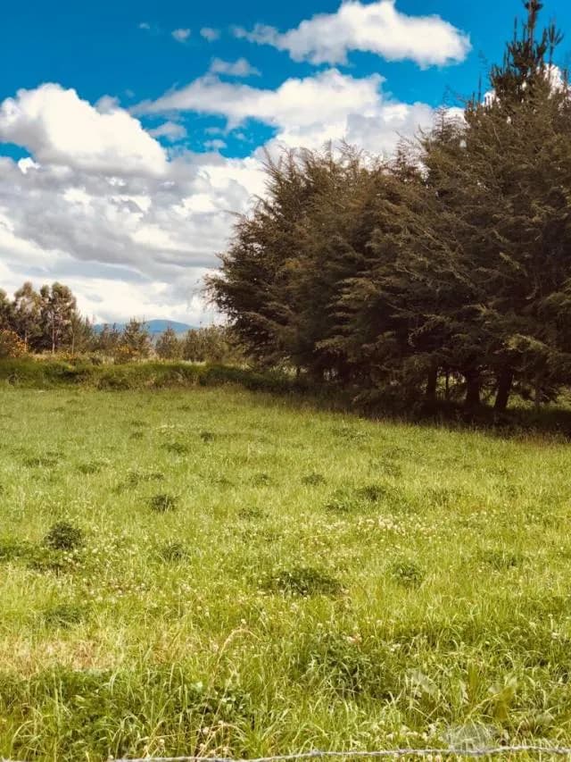 VENTA DE LOTES EN CUSCO — foto 3