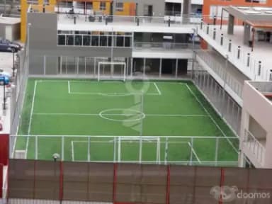 Miniatura 7