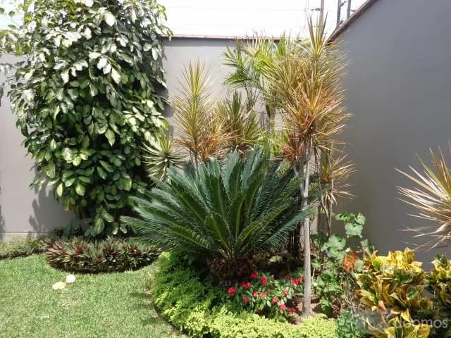 VENDO CASA EN CONDOMINIO LA MOLINA — foto 7