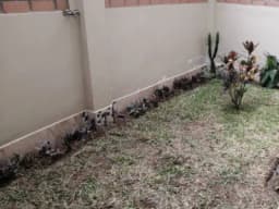 Departamentos en estreno