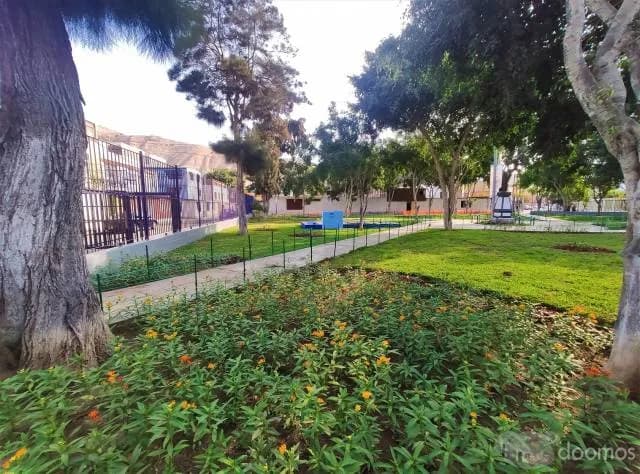 Vendo Casa como Terreno 160 m2 Urb. Los Laureles Chorrillos — foto 4
