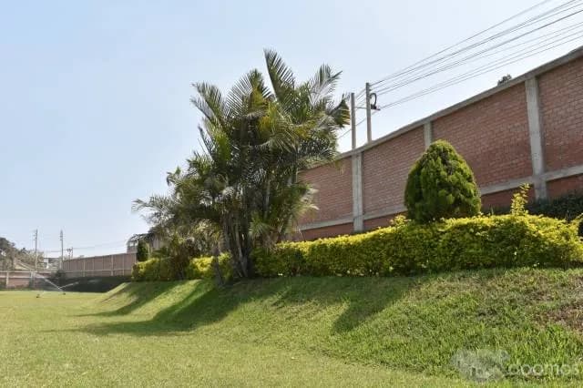 Alquiler de local Doña Luisa — foto 7
