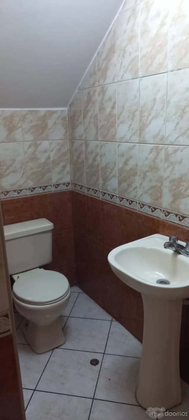 ALQUILO LOCAL COMERCIAL GUARDIA CIVIL- CIUDAD AREQUIPA — foto 3