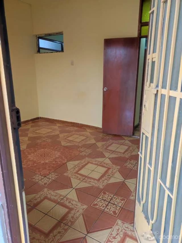 se alquila mini departamento en el distrito de los olivos — foto 5