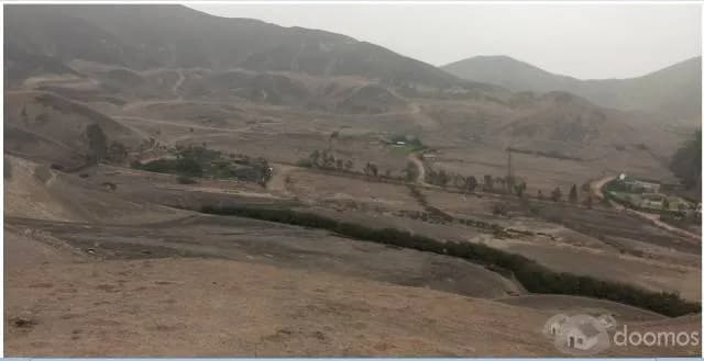 parcela pachacamac venta — foto 5