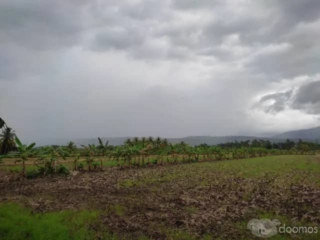 Se Vende Terreno Eco - Turístico 2.5 Ha — foto 2