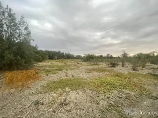 VENTA DE TERRENO EN CIENEGUILLO SUR — foto 1