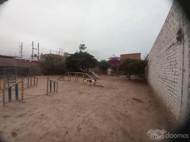 Terreno industrial de 1000 m2 Comas - Trapiche — foto 5