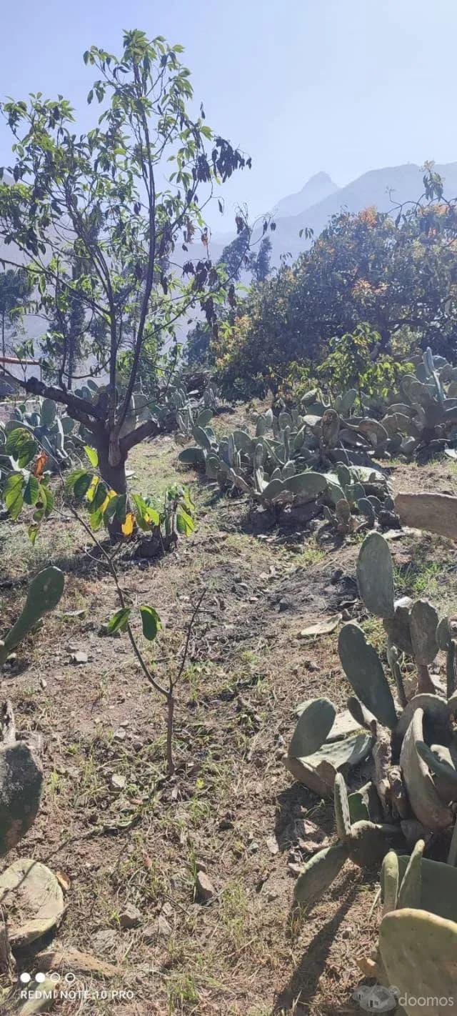 venta de terreno — foto 3