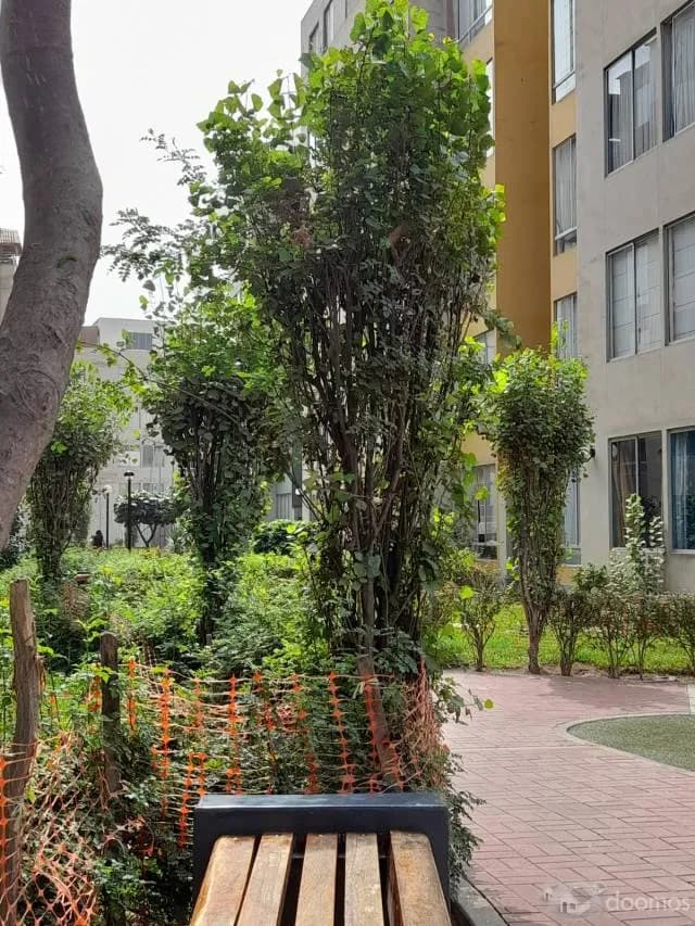 Vendo Departamento Amplio, Independiente y Comercial — foto 3