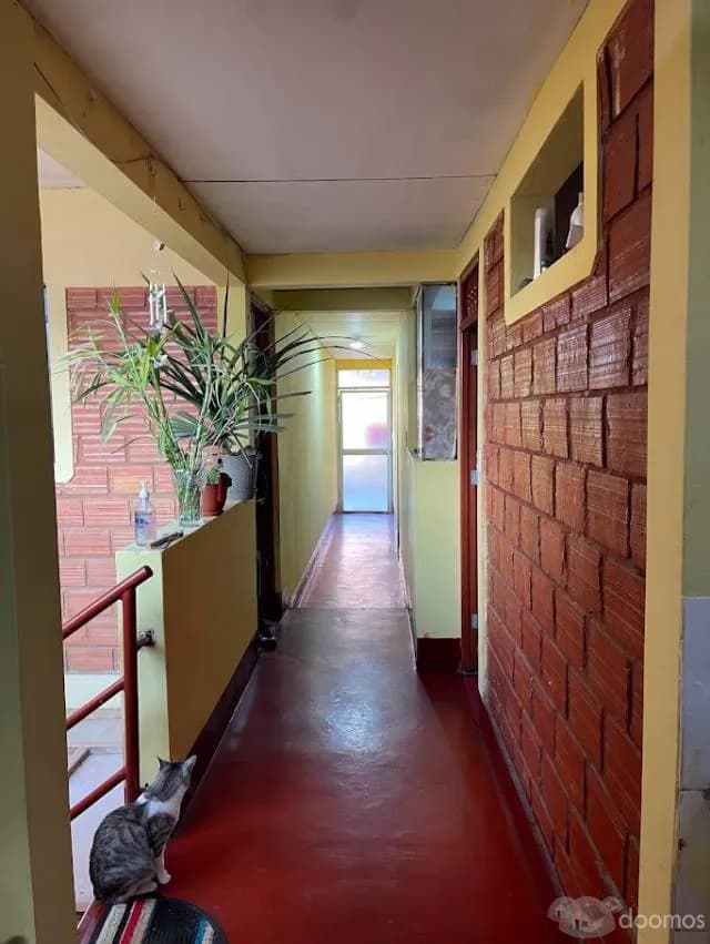 Edificio de 4 Pisos en El Centro Historico de Chachapoyas — foto 7