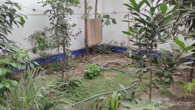 VENDO CASA 2PISOS EN SAN MARTIN DE PORRES — foto 4