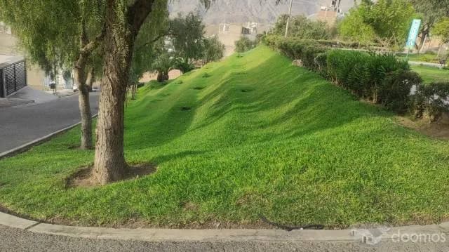 VENTA DE TERRENO POR OCASIÓN — foto 1