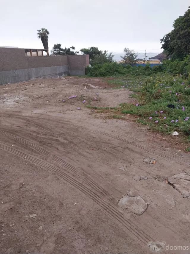 VENTA DIRECTA DE TERRENO DE PLAYA — foto 3